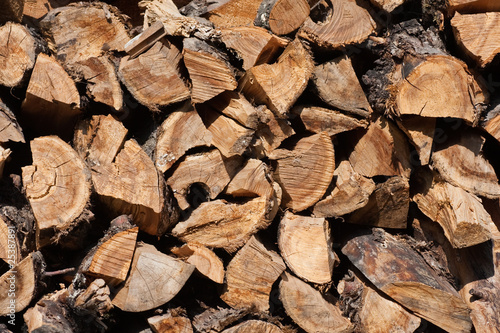 Firewood stacked in a woodpile