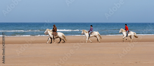 ballade de chevaux sur la plage