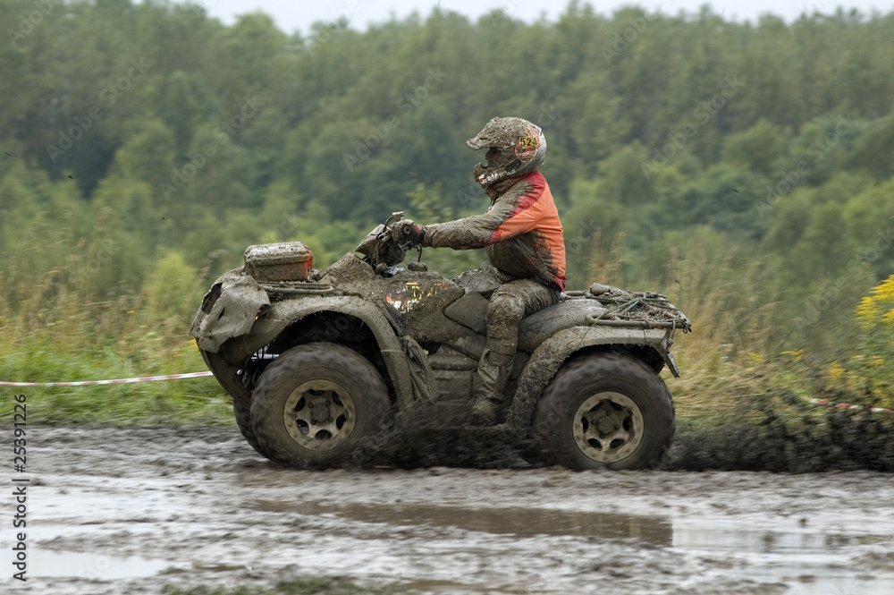 Fototapeta premium quad błoto