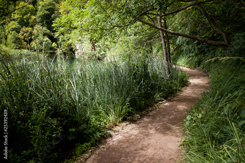 Plitvicke lakes path