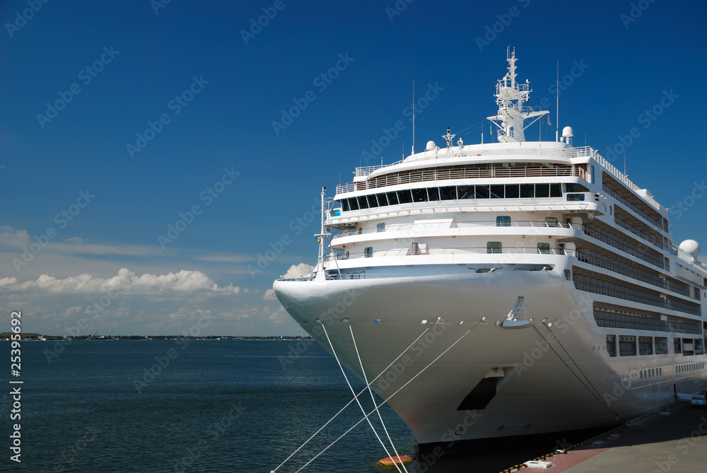 The passenger ship is moored in port