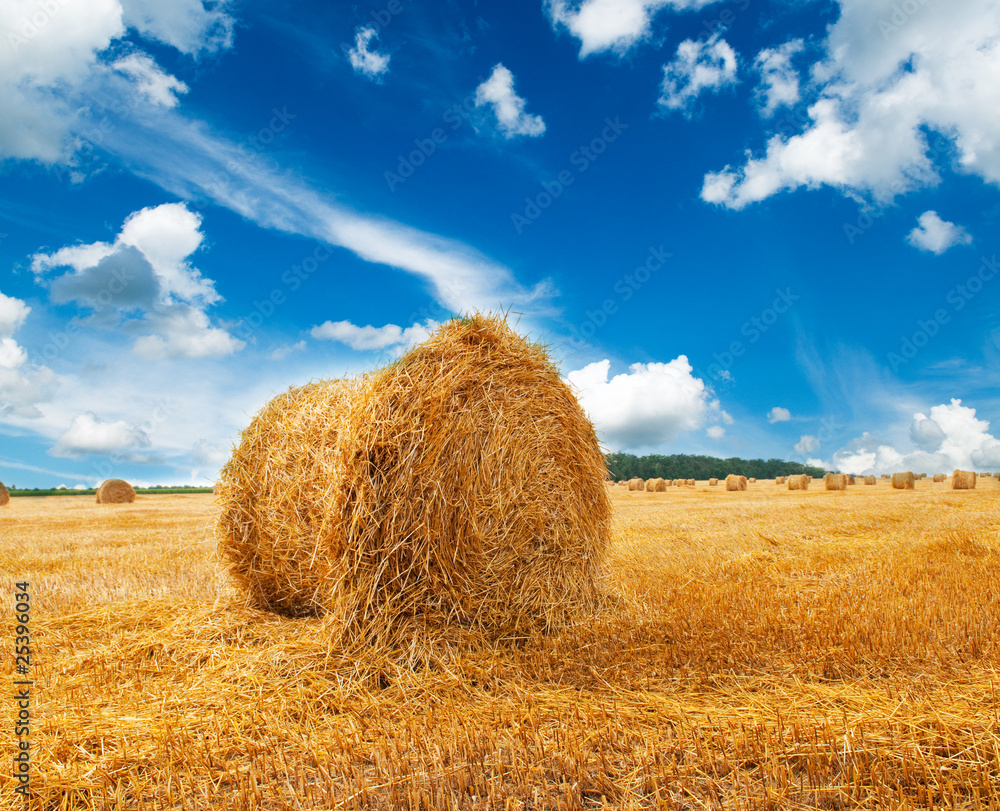 Straw bales on farmland with blue cloudy sky Straw bales on farmland with blue cloudy sky