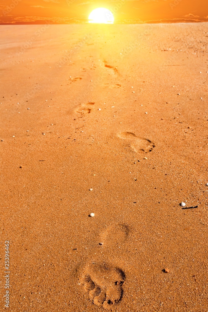 human tracks on a sand at the sunset human tracks on a sand at the sunset