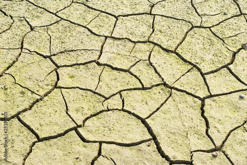 drought land was cracked.