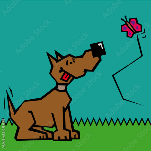Hund beobachtet Schmetterling