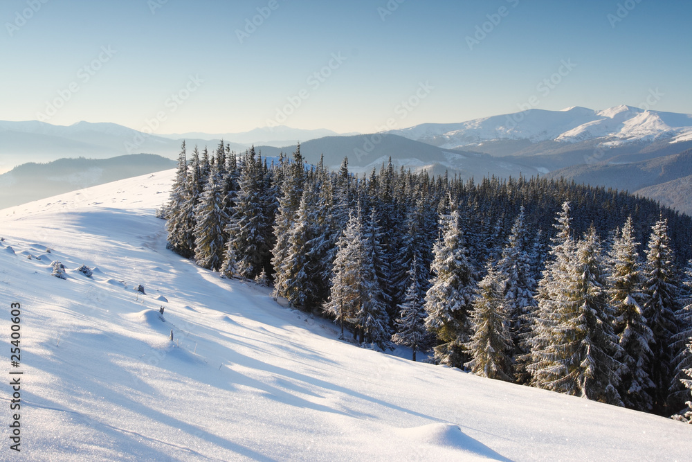 winter in mountains winter in mountains