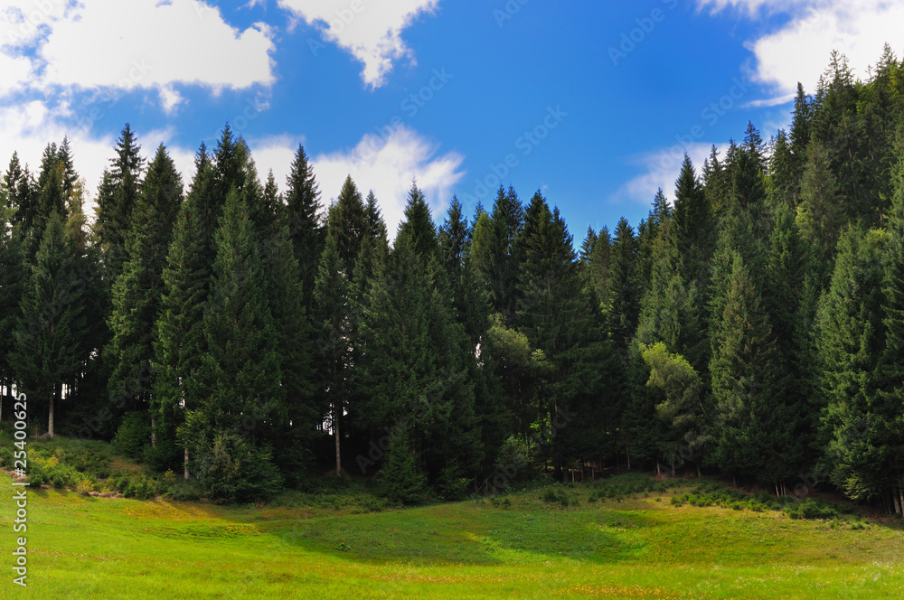 Paesaggio collinare Paesaggio collinare
