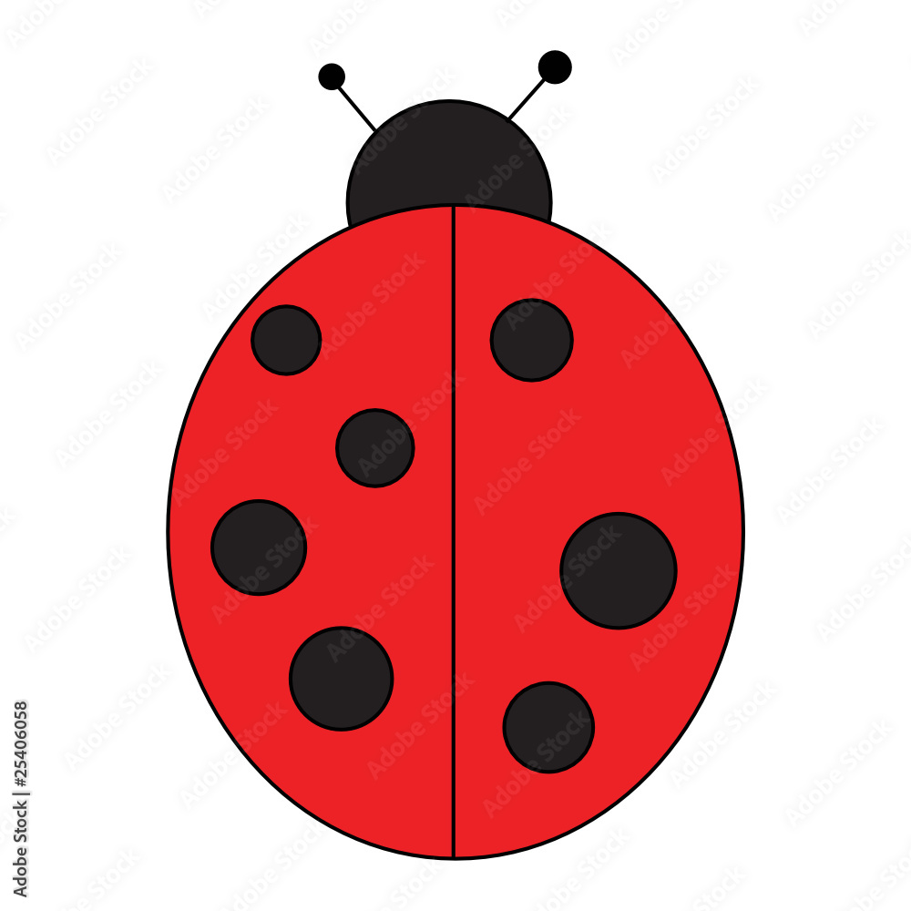 Obraz premium coccinella