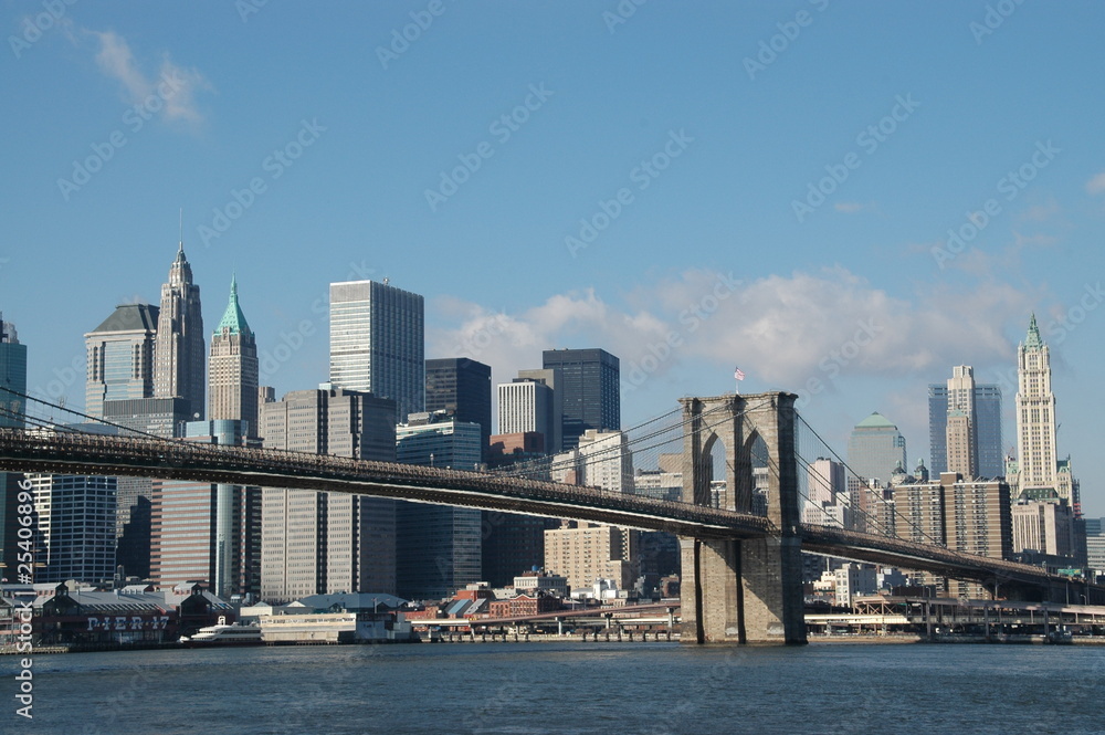 Naklejka premium Brooklyn Bridge