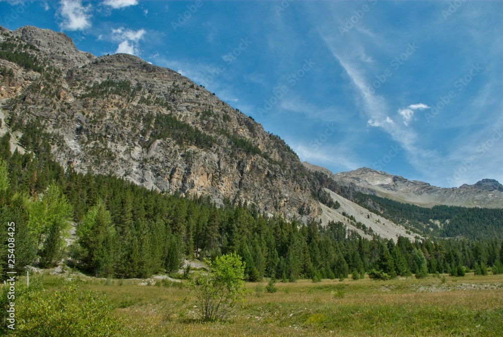 Fototapeta premium paysage de montagne