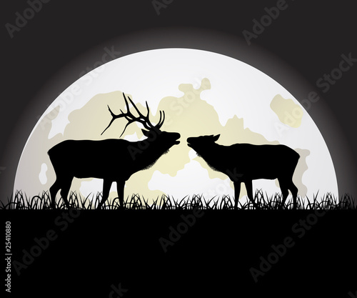Deer against the Moon