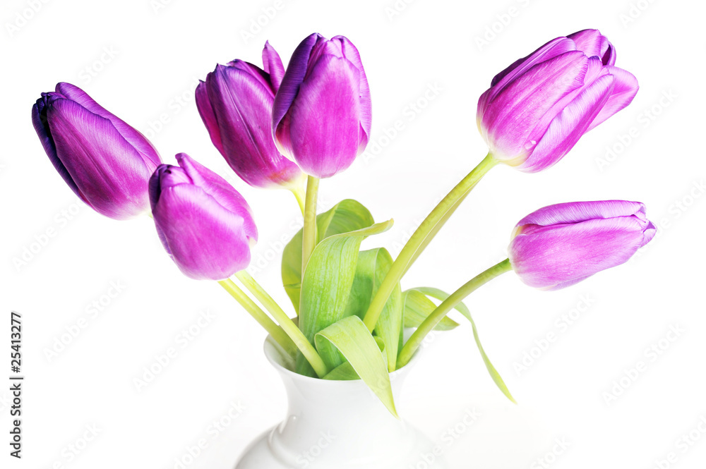 tulips in vase