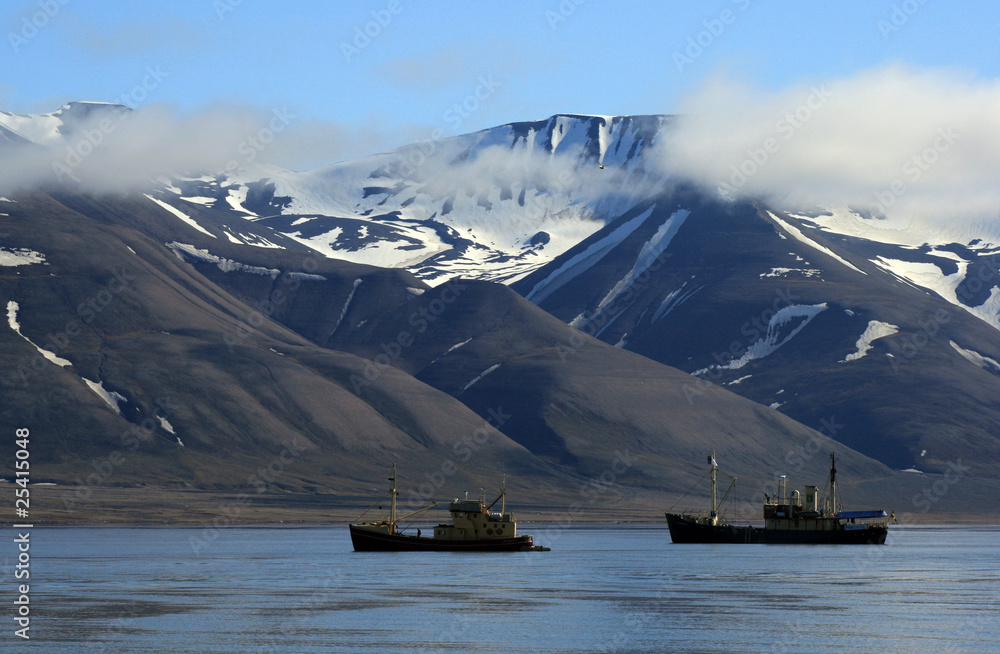 Kutry na Adventfiordzie, Spitsbergen
