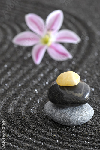 zen garten