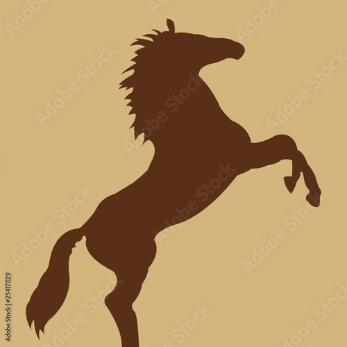 cavallo