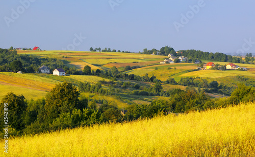 Wavy fields and village