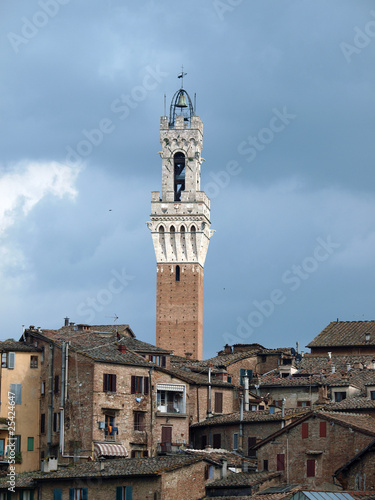 Siena - panorama of the old part of town with Torre del Manga