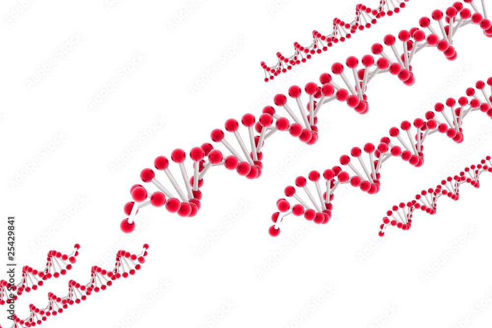 Dna Dna