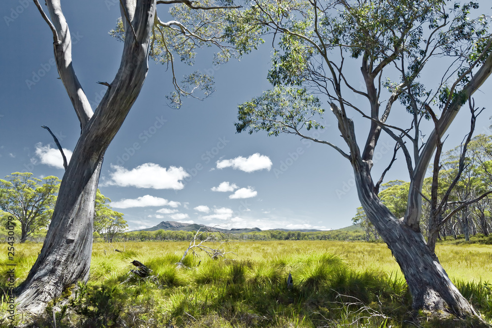 Tasmania Tasmania