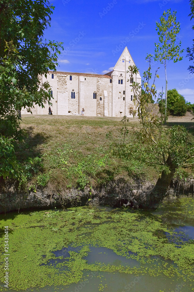 france; 85; marais poitevin : abbaye de maillezais du canal