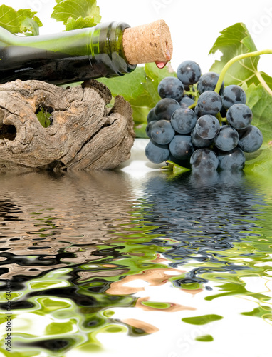 reflejos de bodega