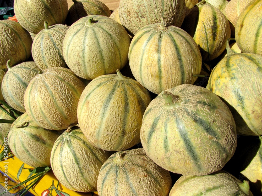 Melons de Cavaillon