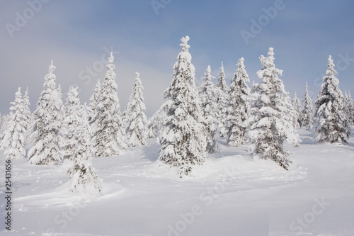 Winterlandschaft © Alexander Erdbeer