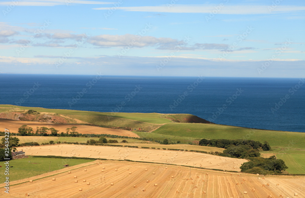 Fototapeta premium Scotland