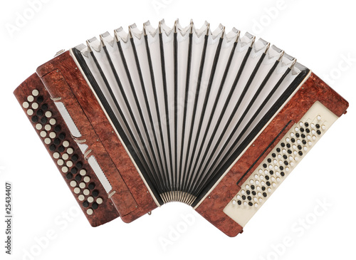 Vászonkép Brown bayan (accordion) isolated on white background