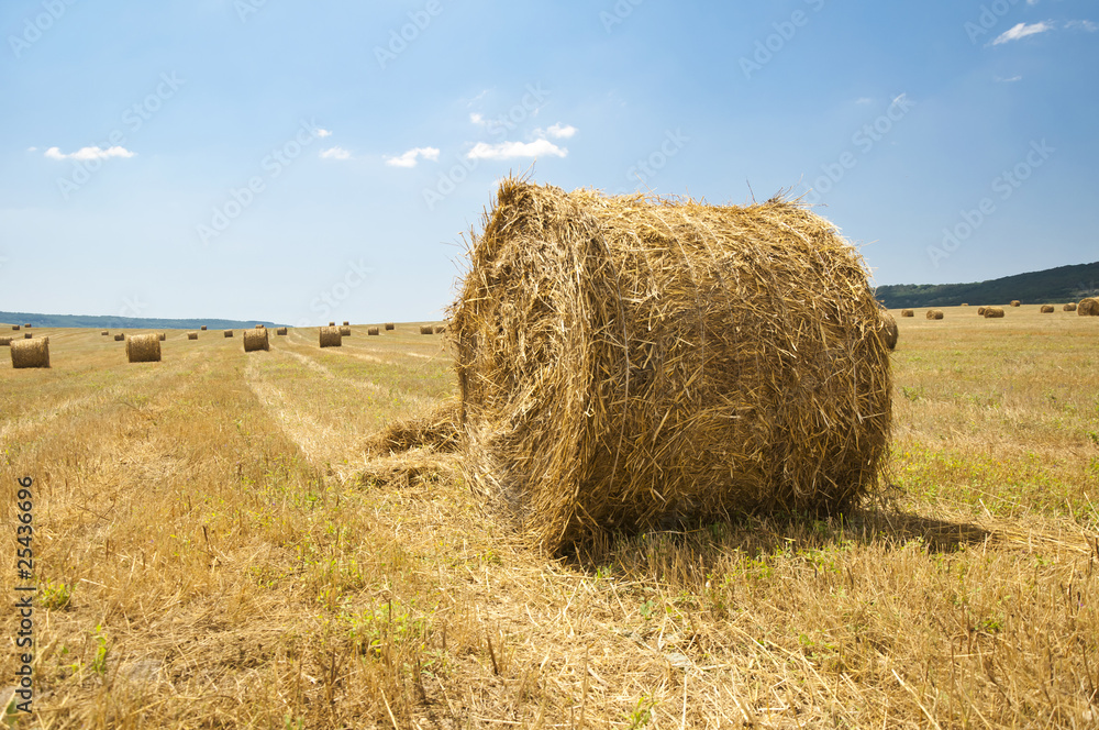 Straw bales on farmland Straw bales on farmland