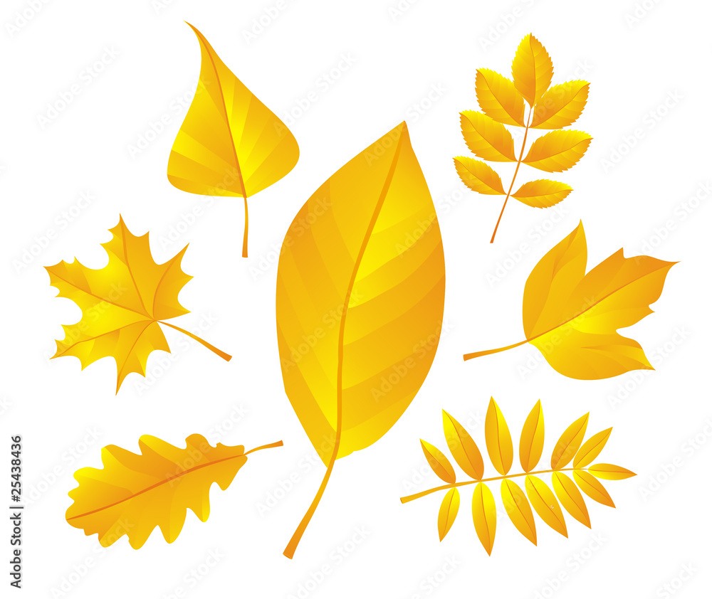 Autumn leaves Autumn leaves