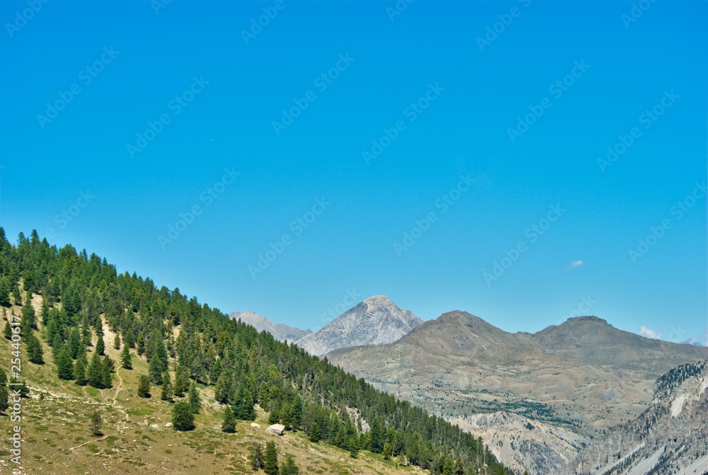 Obraz premium paysage