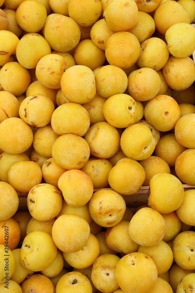 prunes prunes