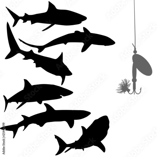 hungry sharks and bait vector silhouettes