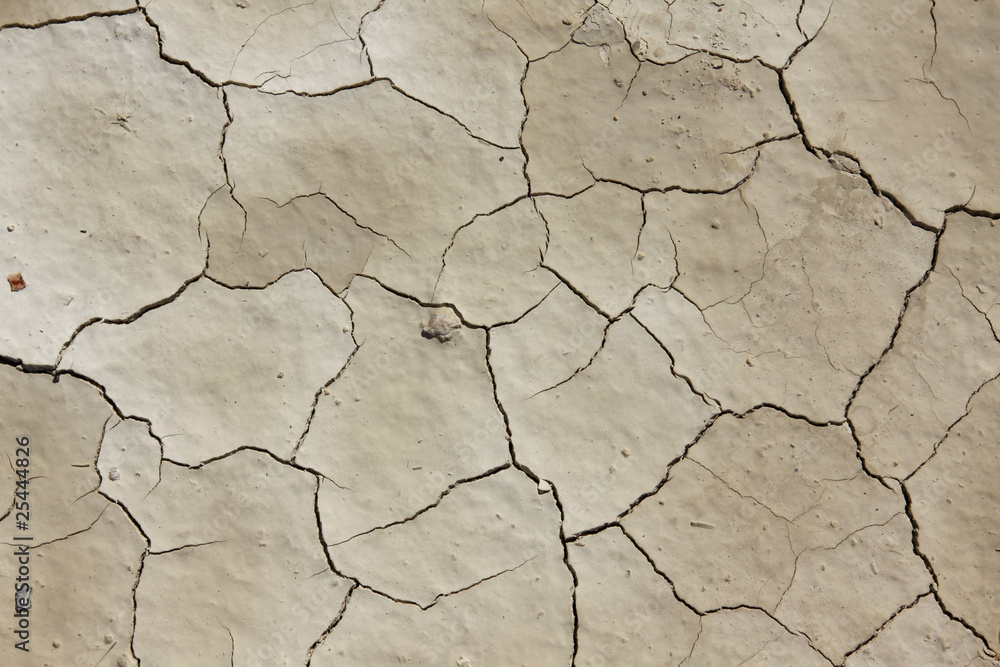 Fototapeta premium Cracked earth