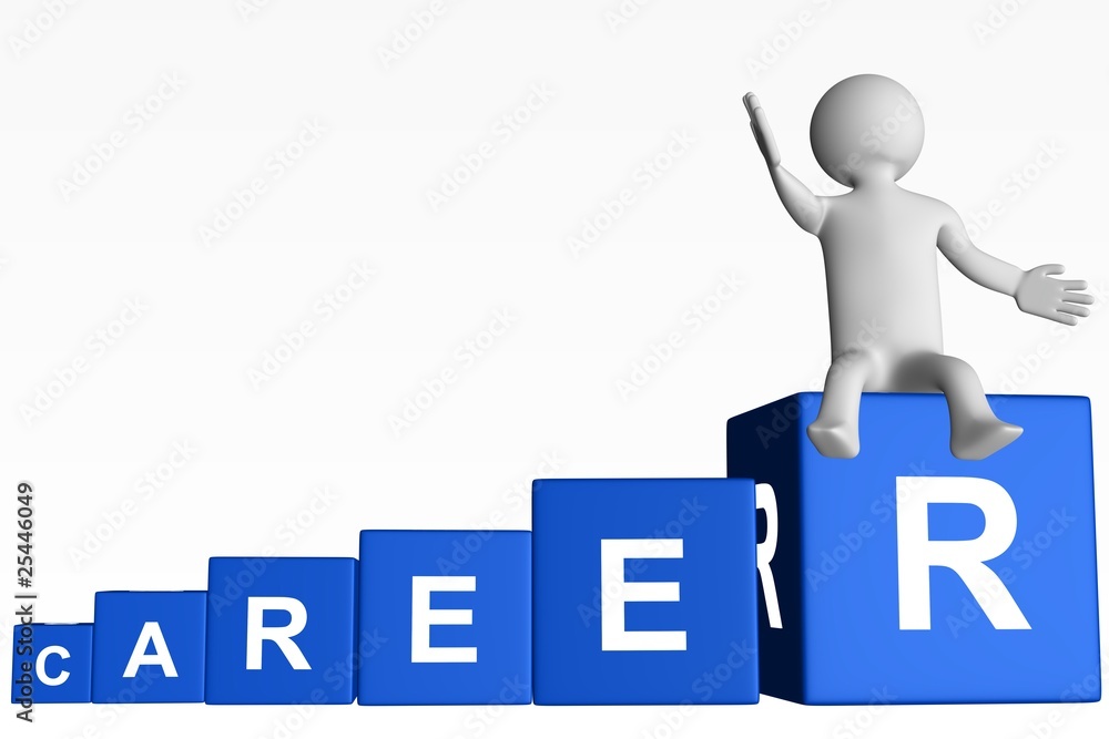 Cubes - CAREER Cubes - CAREER