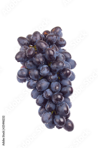 Bunch of grapes with water drops, isolated