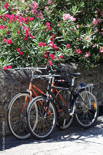 Cycling in South of France