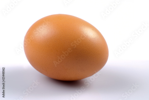 Egg isolated
