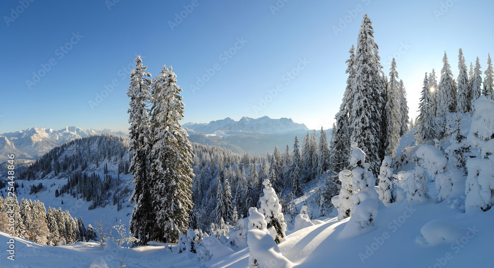 Obraz premium Winterpanorma, Schnee
