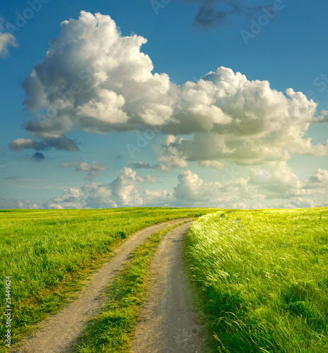 Summer landscape with green grass, road and clouds