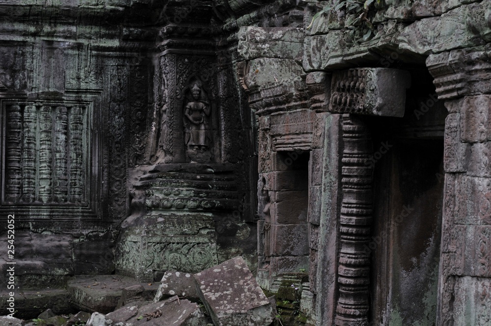 jungle temple ta prohm in cambdia