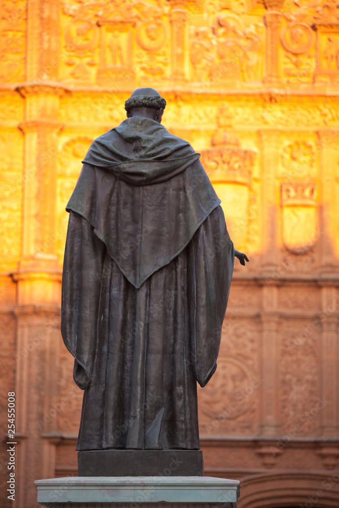 Statue and twilight on Salamanca cathedral