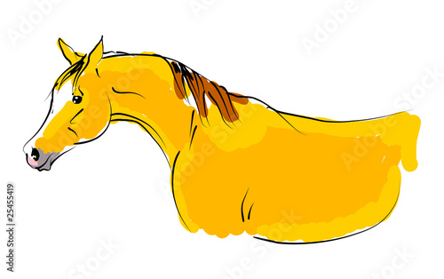 vector arab horse
