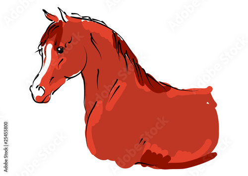 vector berber horse