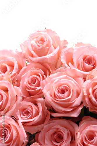 Bouquet of pink roses