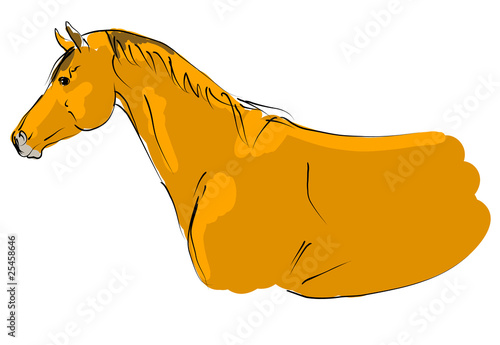 vector trakehner horse