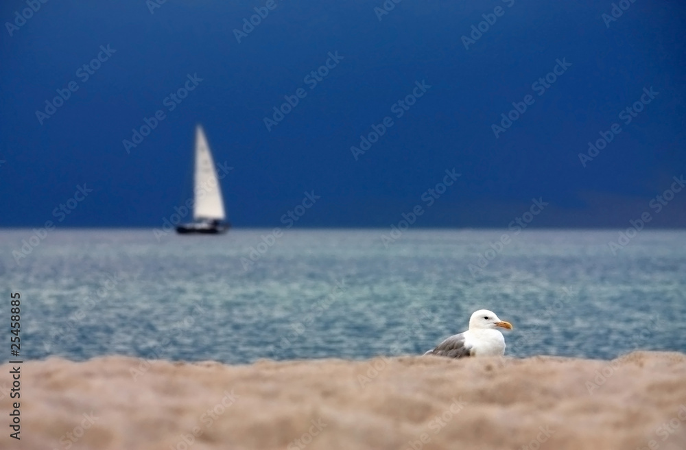 Fototapeta premium Strand - Beach