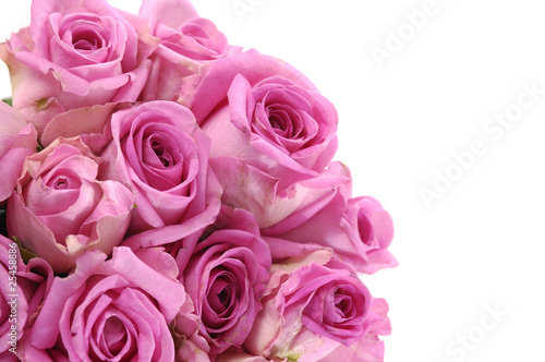 Border of bouquet of pink roses