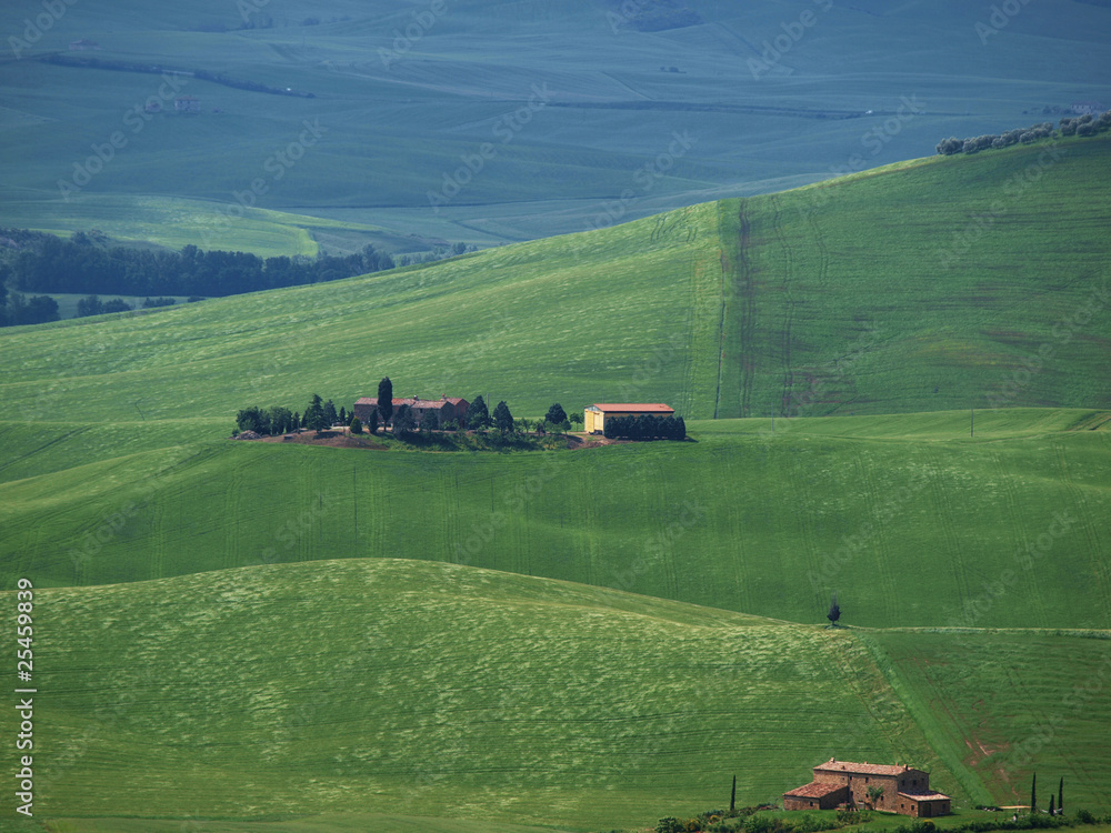 Fototapeta premium The landscape of the Val d’Orcia. Tuscany. Italiy
